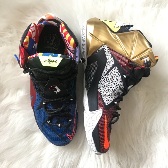 Nike Other - Nike LeBron XII SE What The Lebron Sneakers